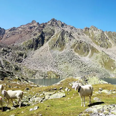 شقة Birkenheim-1 By Interhome سولدن