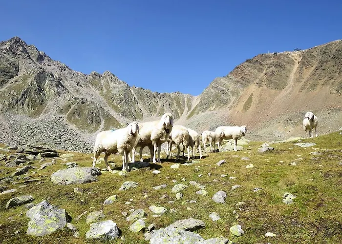 Birkenheim-1 By Interhome * Зёльден